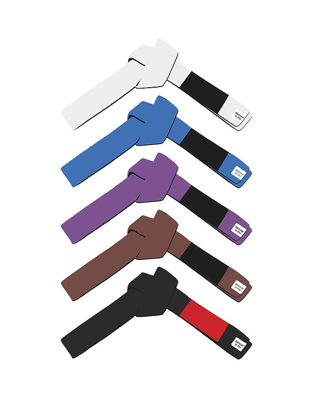 Brazilian Jiu Jitsu belt ranks displayed at Mission BJJ